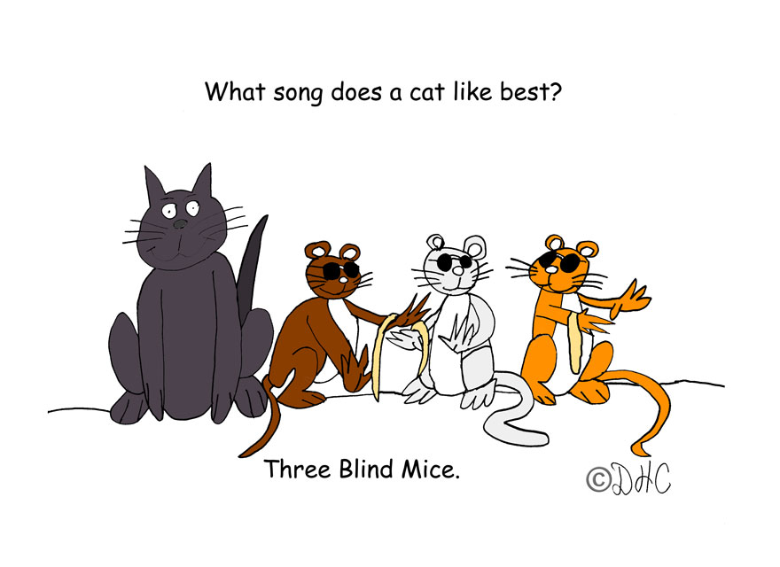 Cat3BlindMice2