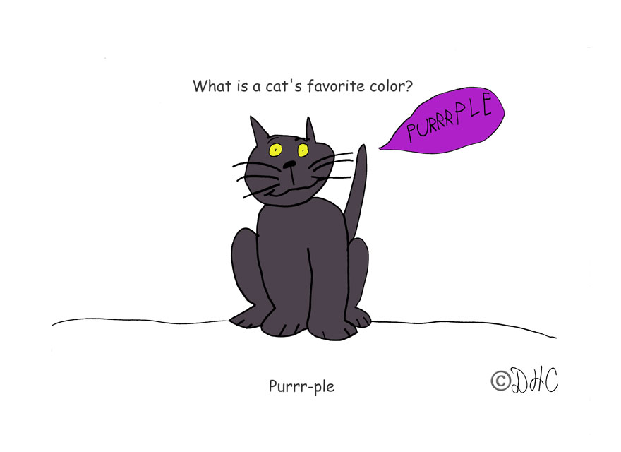 Cat Purple