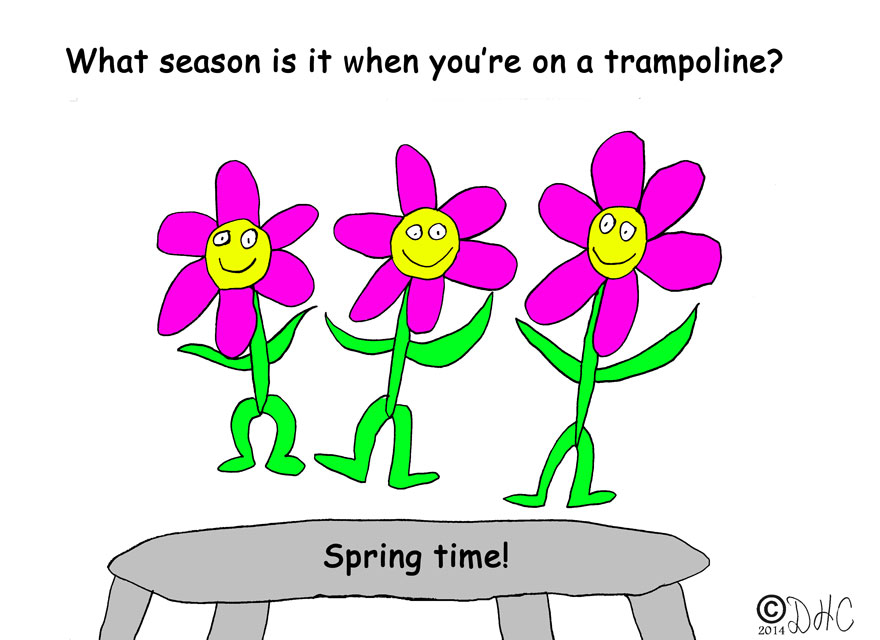 SpringTrampoline